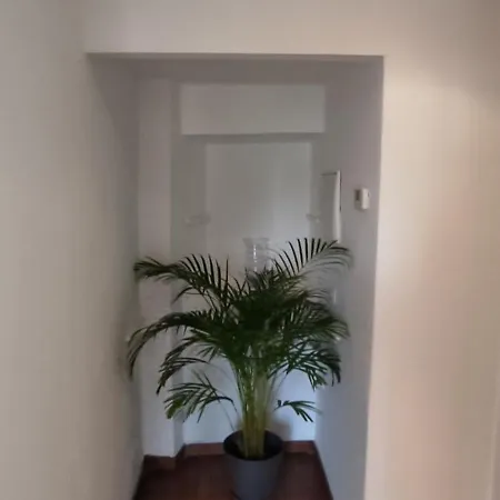 Piso Con Terraza * リバデオ
